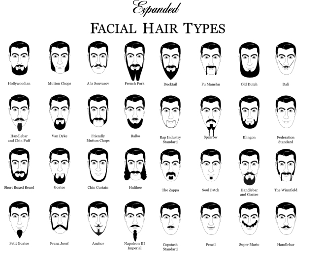http://en.wikipedia.org/wiki/File:Expanded_Facial_Hair_Types.jpg